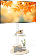 Support TV, 100 × 100 mm, 65 pouces, RFIVER