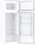 CANDY CELDP2450H réfrigérateur, 36 L